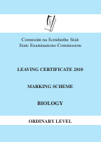 MS 2010.pdf
